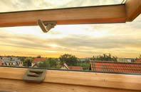 rated Sarre roof window companies